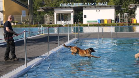 Wasser ist gar nicht schlimm. Freya springt beherzt ins Schwimmbecken.